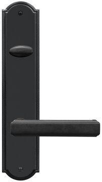 Black metal vintage lever handle door