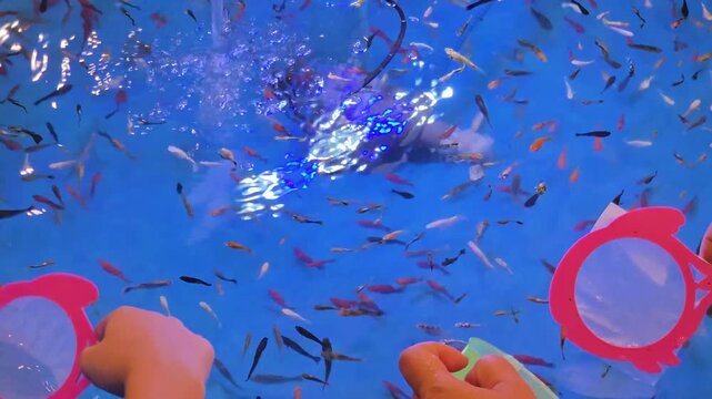 Close-up of Hands Using Delicate Paper Scoops to Catch Fish in "Tuk Pla" Game