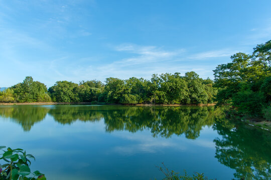 Serene summer landscape of a tranquil lake reflecting trees and blue sky like a mirror, refreshing nature scenery in Japan with copy space