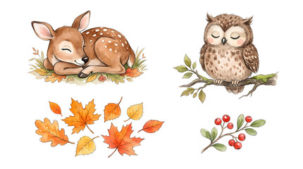 Naklejka premium Cozy watercolor storybook graphic elements pack of wintering woodland animals and warm foliage, 