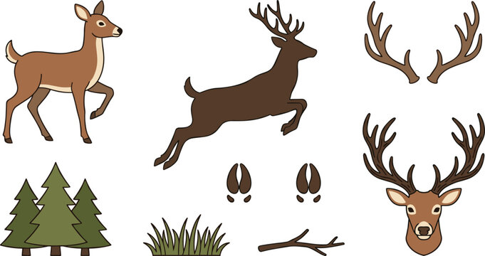 Cartoon forest deer and hunting vector element set featuring walking doe leaping buck antlers trophy stag head hoof prints pine trees and grass.