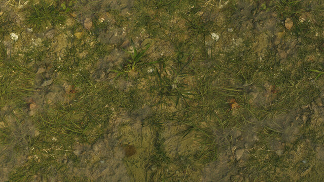 Seamless natural grass and soil texture with weeds and plants