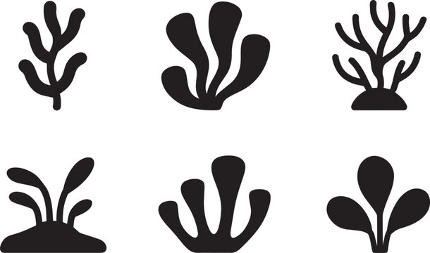 Seaweed icons display a collection of various aquatic plant species found in underwater marine ecosystems.