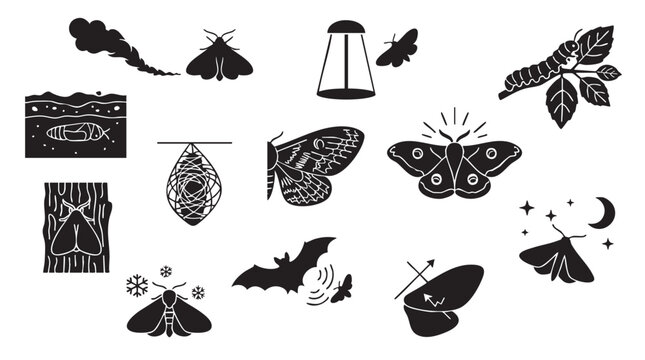 Black moth lifecycle and nature vector silhouettes set including caterpillar pupa cocoon and night flying moth species.