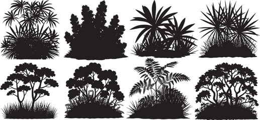 collection of various tropical foliage, exotic plants, and trees silhouettes, vector illustration © shahzad