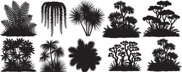 collection of various tropical foliage, exotic plants, and trees silhouettes, isolated on transparent background, vector illustration © shahzad