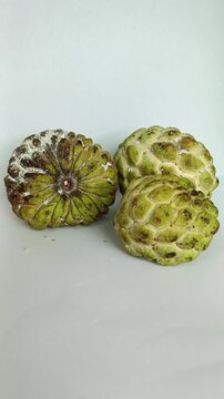 Sugar apple infested with mealybugs ,with ants crawling around the fruit