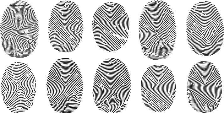 Fingerprint icons, gray fingerprint marks, thumbprint symbols, fingerprint collection, vector illustrations