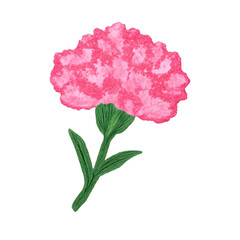 Fototapeta premium PNG Vibrant embroidered pink carnation.