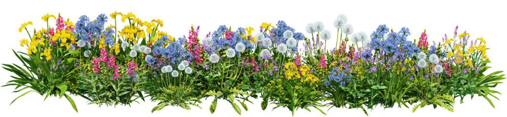 Fototapeta premium Shrubs and flower on a transparent background