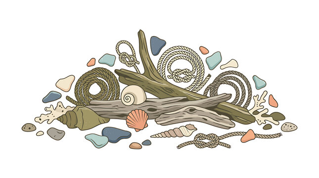 Hand drawn illustration of beach treasures including driftwood sea glass shells and nautical rope.