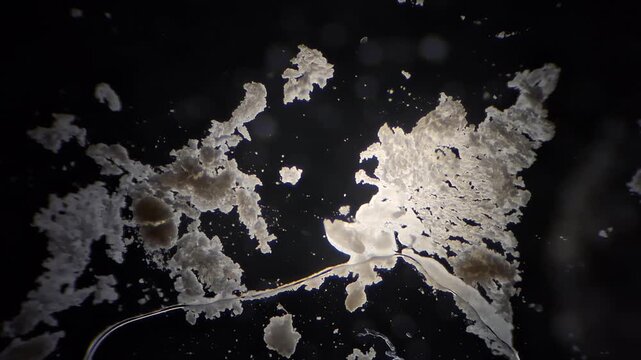 Microscopic time lapse of chemical reaction, acid dissolving limestone calcium carbonate close up under microscope