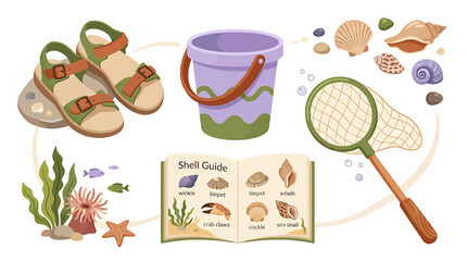 Collection of beach exploration gear including sandals bucket net and shell guide book. © Sumi