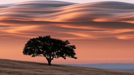 Fototapeta premium Lone tree stands on grassy hill under dramatic orange sunset sky with flowing clouds, peaceful and serene landscape scene