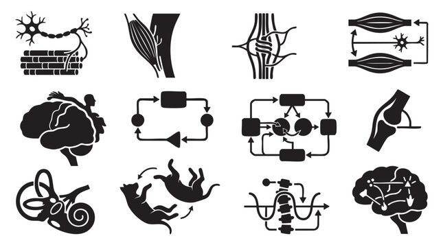 Neuroscience and human body sensorimotor system icons.