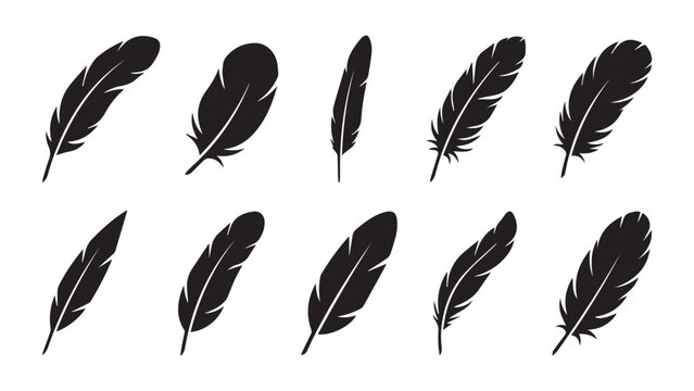 set of feathers