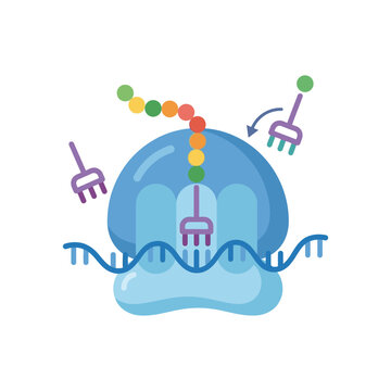 Colorful DNA and RNA Polymerase Illustration.