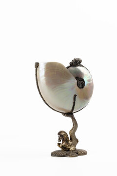 Nautilus shell bowl. Cup is made from nautilus shell in medieval style. Image on white background. An exclusive handmade gift. Copy space. Medieval drinking cup. Isolated object