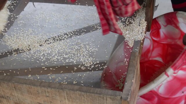 Worker collecting fresh puffed rice in bucket