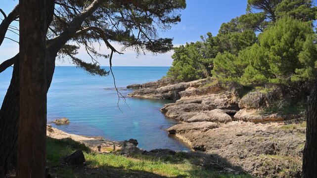 Rocky coastline with pine trees and turquoise water in Ulcinj, Montenegro