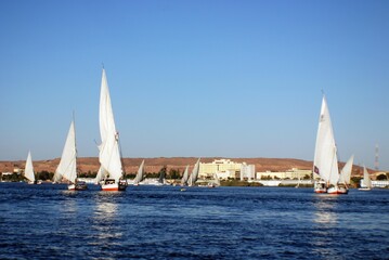 Fototapeta premium ASWAN EGYPT: Felucca sails on the Nile river near Aswan, Egypt. The feluccas seen today were invented in 3350 BC