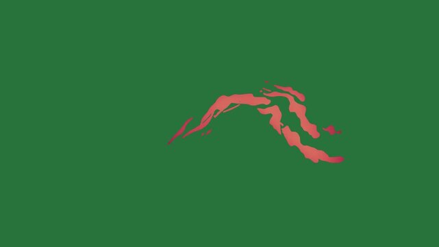 White border and map of new zealand screen picture man diving bird flying in the sky red arrow silhouette this is heart orange design isolated on green screen background