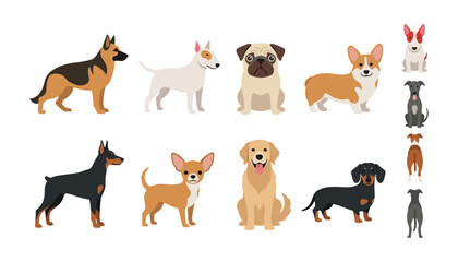 Fototapeta premium Popular Dog Breeds Cartoon Characters Set with German Shepherd Pug Golden Retriever Corgi and Chihuahua for Veterinary Care Pet Shop Icon Flat Vector Illustration