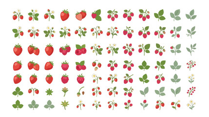 Flat berry icon set with strawberries and raspberries, organic fruit vector collection, botanical garden plant elements for food packaging © noor