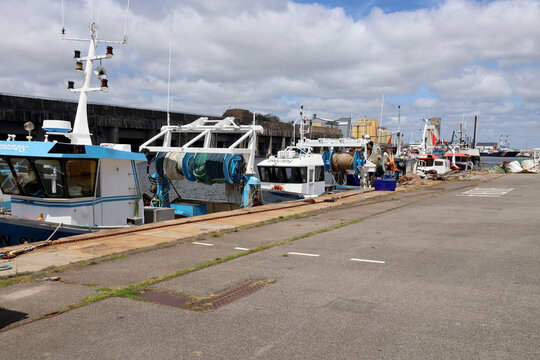 Des chalutiers le long du port