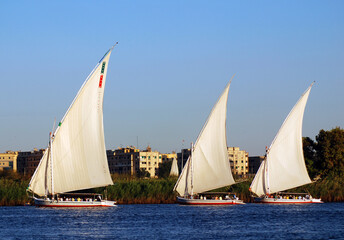 Fototapeta premium ASWAN EGYPT: Felucca sails on the Nile river near Aswan, Egypt. The feluccas seen today were invented in 3350 BC