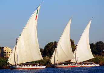 Fototapeta premium ASWAN EGYPT: Felucca sails on the Nile river near Aswan, Egypt. The feluccas seen today were invented in 3350 BC