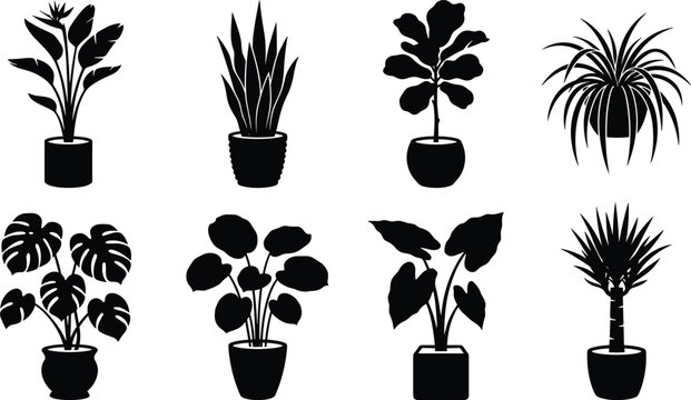 Houseplants and potted indoor plants silhouette vector icon set featuring monstera snake plant fiddle leaf fig and palm in image_fd5df0.png