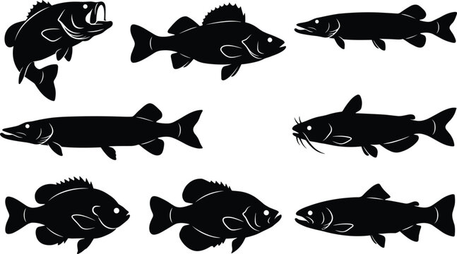 Freshwater game fish silhouette vector icon set featuring bass pike walleye trout crappie and catfish in image_fce98c.png