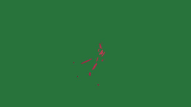 White border and screen red line bird fish fire orange arrow isolated on green screen background