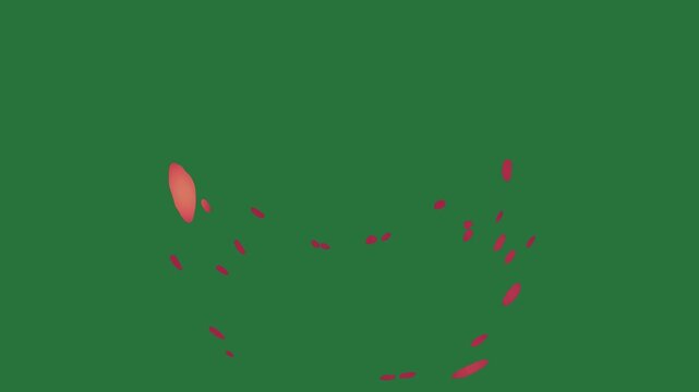 White border and screen cat ' s head on smiling face it picture of fire an apple logo red dot clock isolated on green screen background