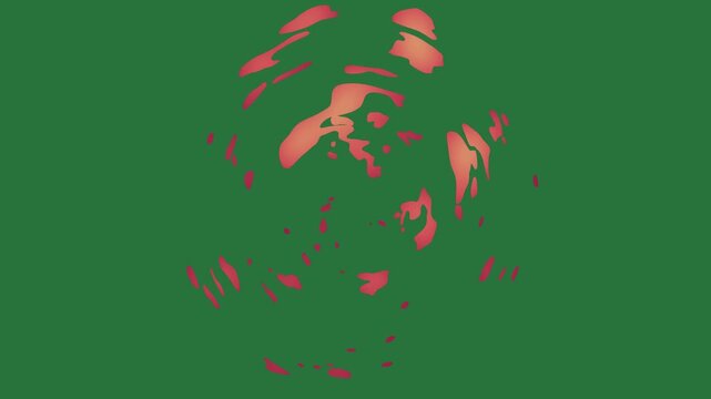 White border and screen picture of man jesus red flower on bunch flowers fire beard clock it isolated on green screen background