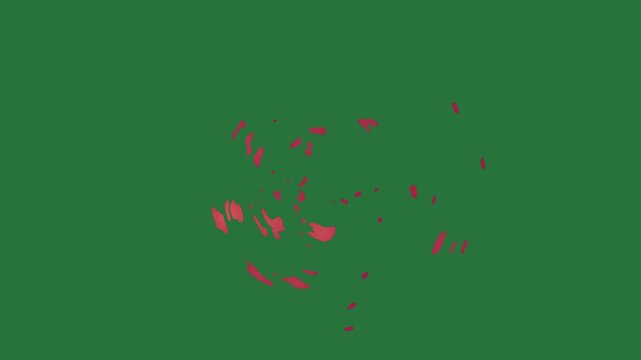 White border and red fire on flower screen circle it face picture man map the country small dot isolated on green screen background
