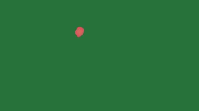 White border and screen red butterfly circle heart on picture of dog fire small object an orange it isolated on green screen background