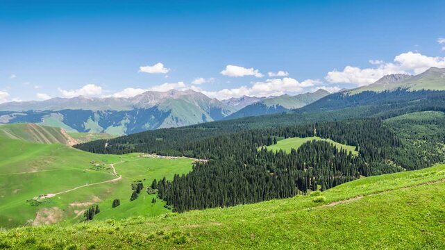 Aerial Time Lapse of Forest, Pasture, and Snow Mountains at Qiongkushitai, Yili, Xinjiang, China