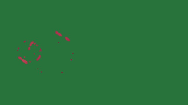 White border and screen an apple on red heart it orange flower small dot isolated on green screen background