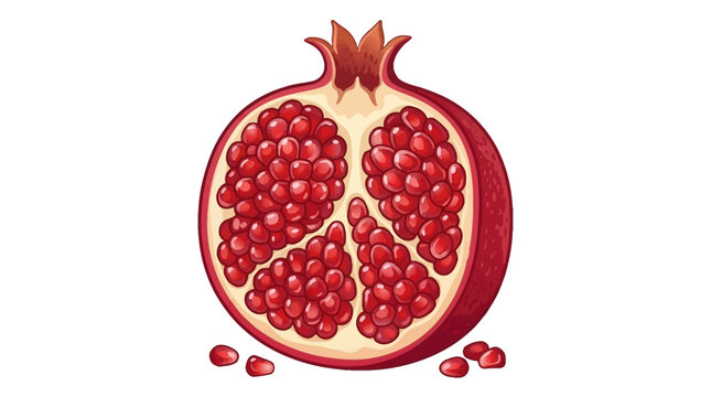 Pomegranate Fruit Cut Open with Seeds and Arils