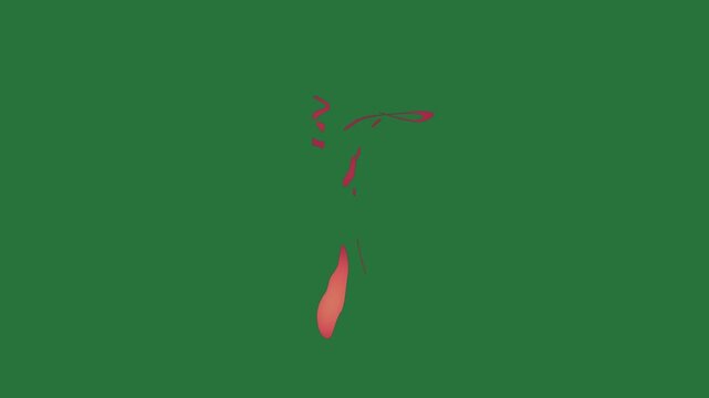 White border and red arrow on silhouette of woman screen line it figure tie bird dress isolated on green screen background