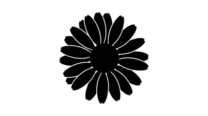 Fototapeta premium Daisy Flower Silhouette Against A White Background