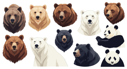 Impressive collection of realistic bear portraits including grizzly, polar, black bears, and a giant panda on a white background. © Mr