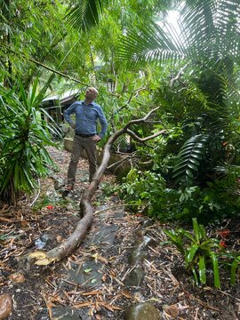 Man looking concerned next to a large fallen tree branch