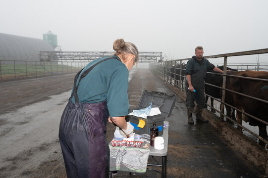 Liver & Blood Samples With Farm Manager