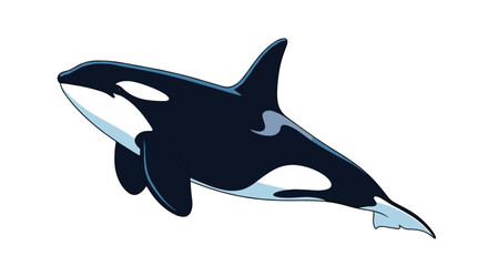 Majestic orca swimming gracefully in the deep blue ocean depicted as a clean and simple flat vector illustration. © Mim