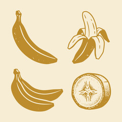 Vintage Banana Illustrations Set Whole Peeled and Sliced Fruit. © Yin