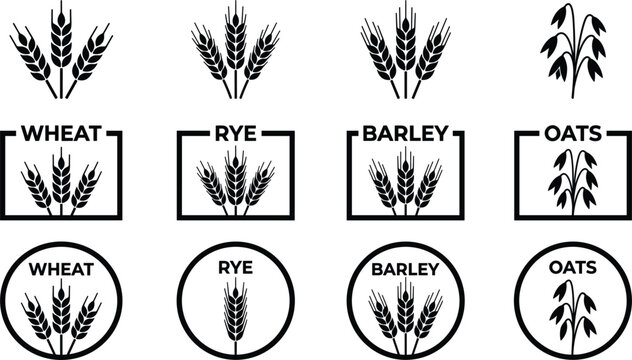Cereal grains silhouette icon badge collection vector illustration featuring wheat rye barley oats stamps for marketplace packaging product design