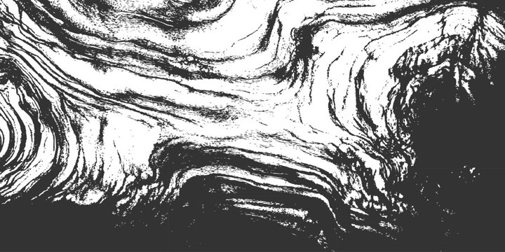 Black and white detailed wood grain bark texture background abstract grunge natural vector illustration.